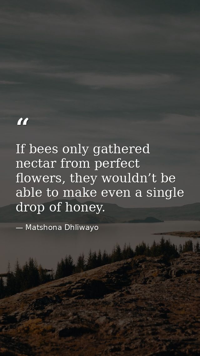 If bees only gathered nectar from perfect flowers, they wouldn’t be able to make even a single drop of honey. — Matshona Dhliwayo