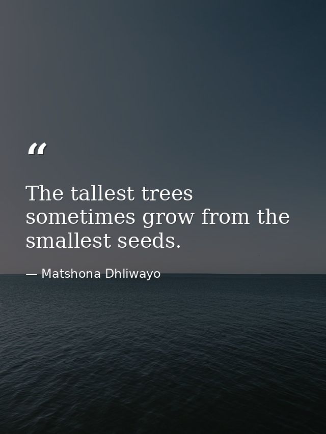 The tallest trees sometimes grow from the smallest seeds. — Matshona Dhliwayo