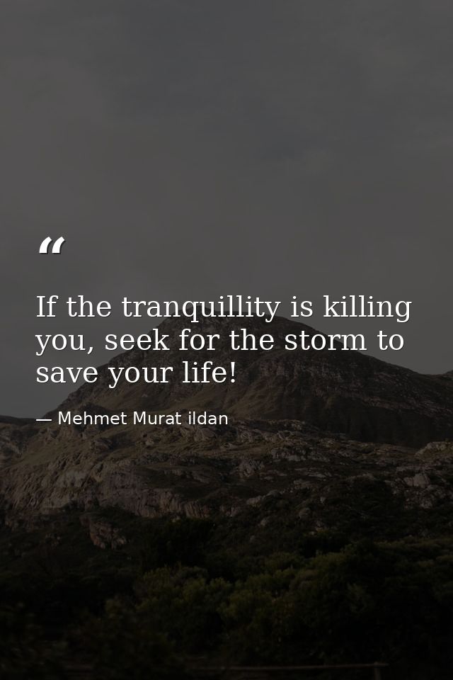 If the tranquillity is killing you, seek for the storm to save your life! — Mehmet Murat ildan