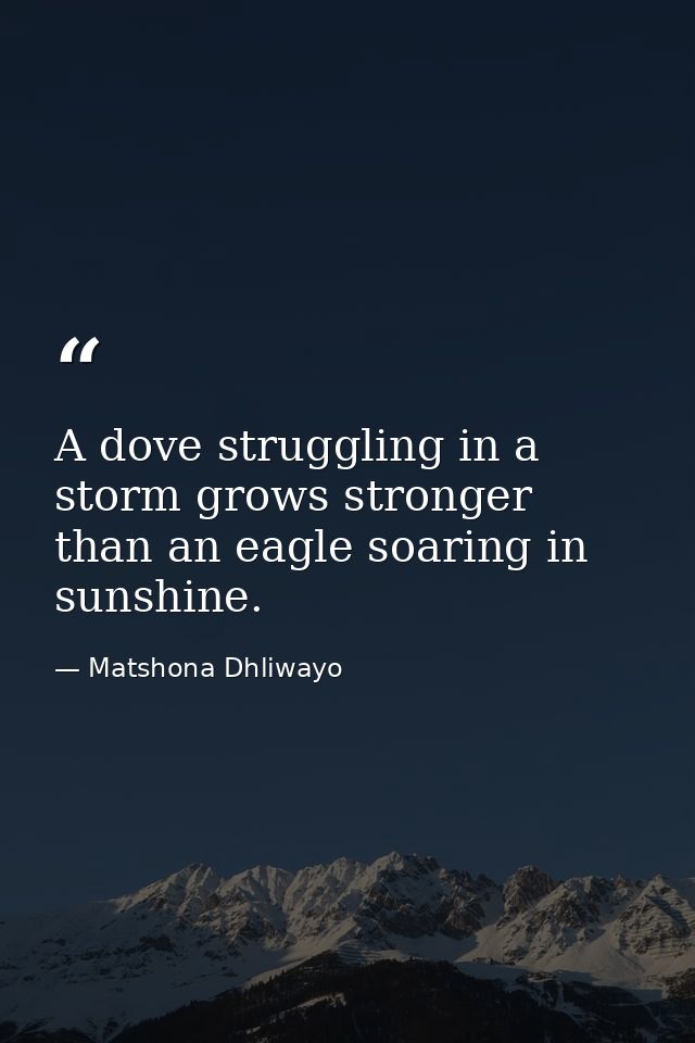 A dove struggling in a storm grows stronger than an eagle soaring in sunshine. — Matshona Dhliwayo