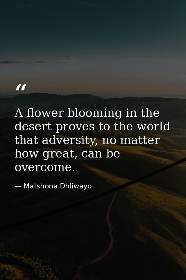 A flower blooming in the desert proves to the world that adversity, no matter how great, can be overcome. — Matshona Dhliwayo