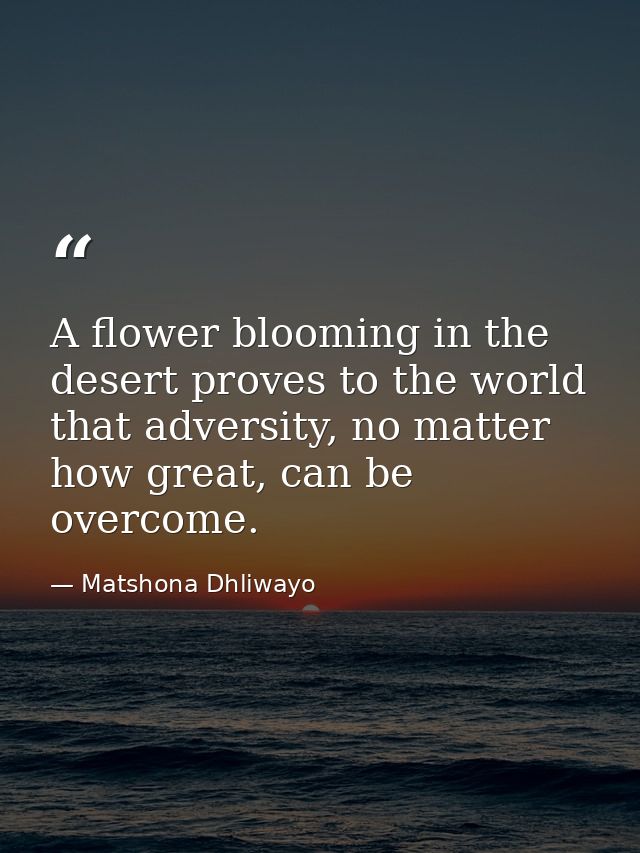 A flower blooming in the desert proves to the world that adversity, no matter how great, can be overcome. — Matshona Dhliwayo
