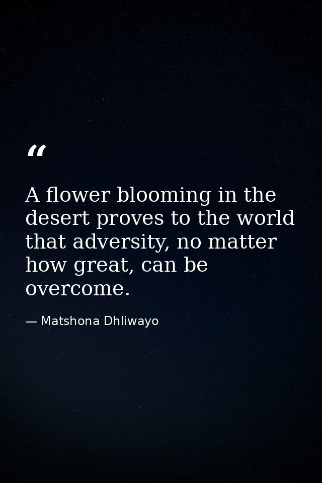 A flower blooming in the desert proves to the world that adversity, no matter how great, can be overcome. — Matshona Dhliwayo