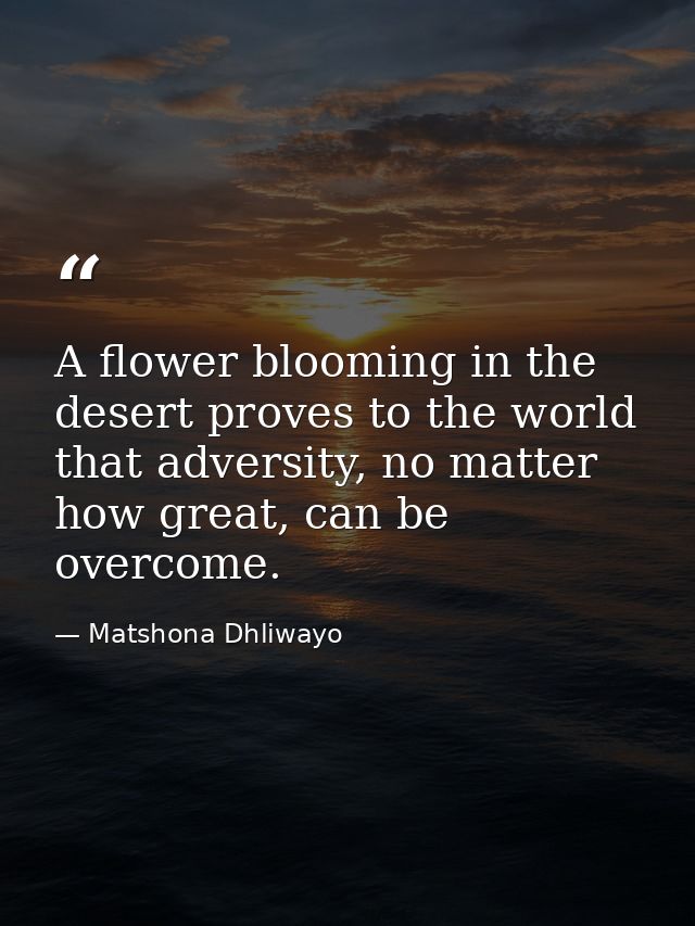 A flower blooming in the desert proves to the world that adversity, no matter how great, can be overcome. — Matshona Dhliwayo