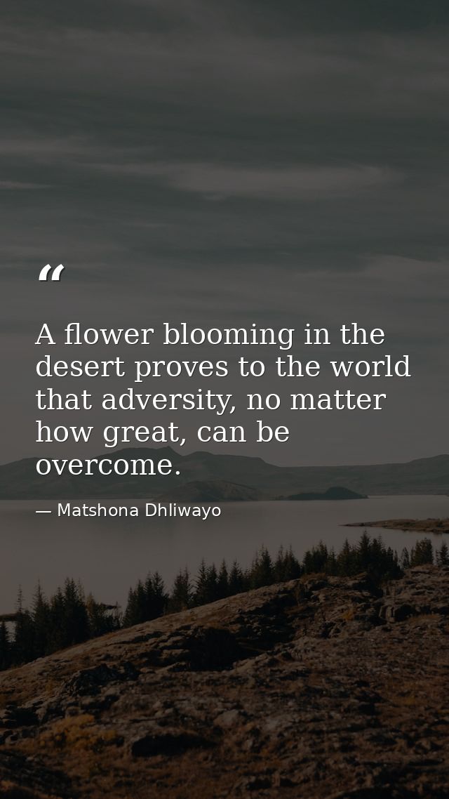 A flower blooming in the desert proves to the world that adversity, no matter how great, can be overcome. — Matshona Dhliwayo