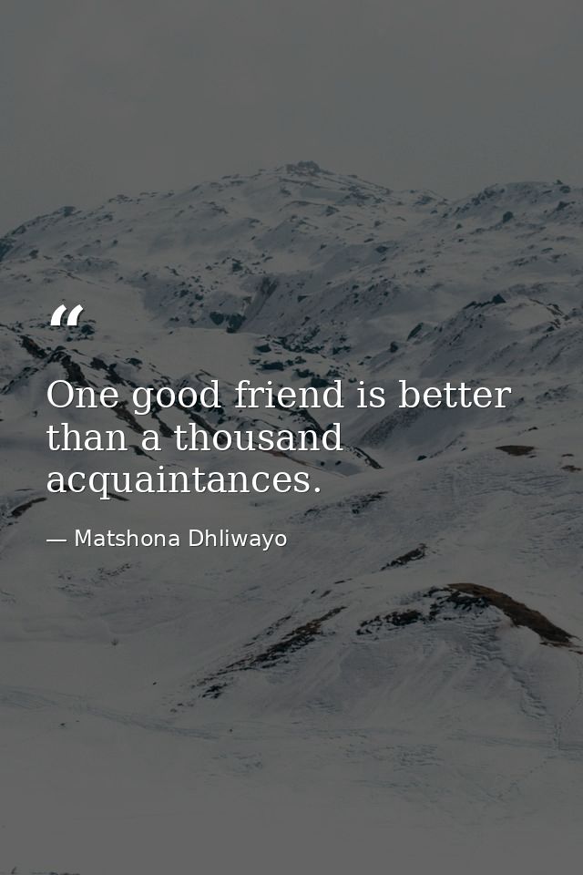 One good friend is better than a thousand acquaintances. — Matshona Dhliwayo