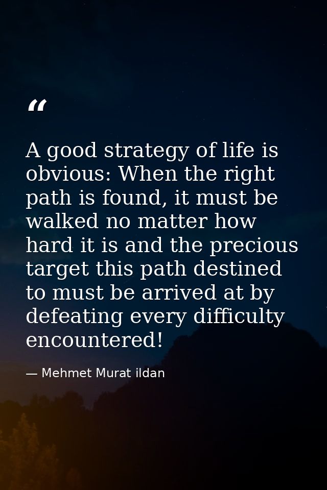 A good strategy of life is obvious: When the right path is found, it must be walked no matter how hard it is and the pre — Mehmet Murat ildan