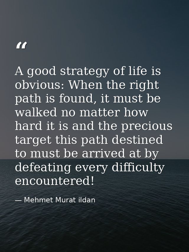 A good strategy of life is obvious: When the right path is found, it must be walked no matter how hard it is and the pre — Mehmet Murat ildan