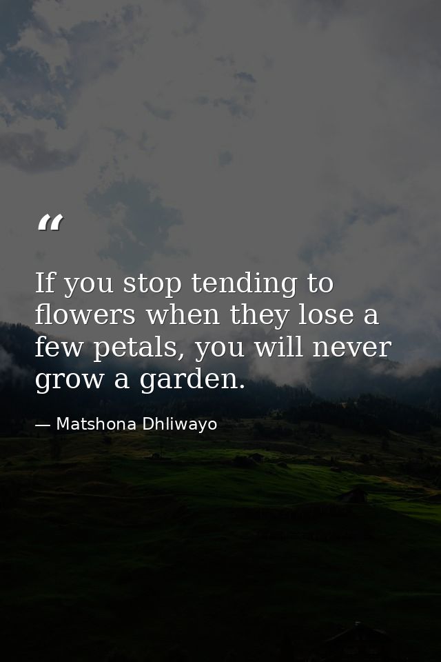 If you stop tending to flowers when they lose a few petals, you will never grow a garden. — Matshona Dhliwayo