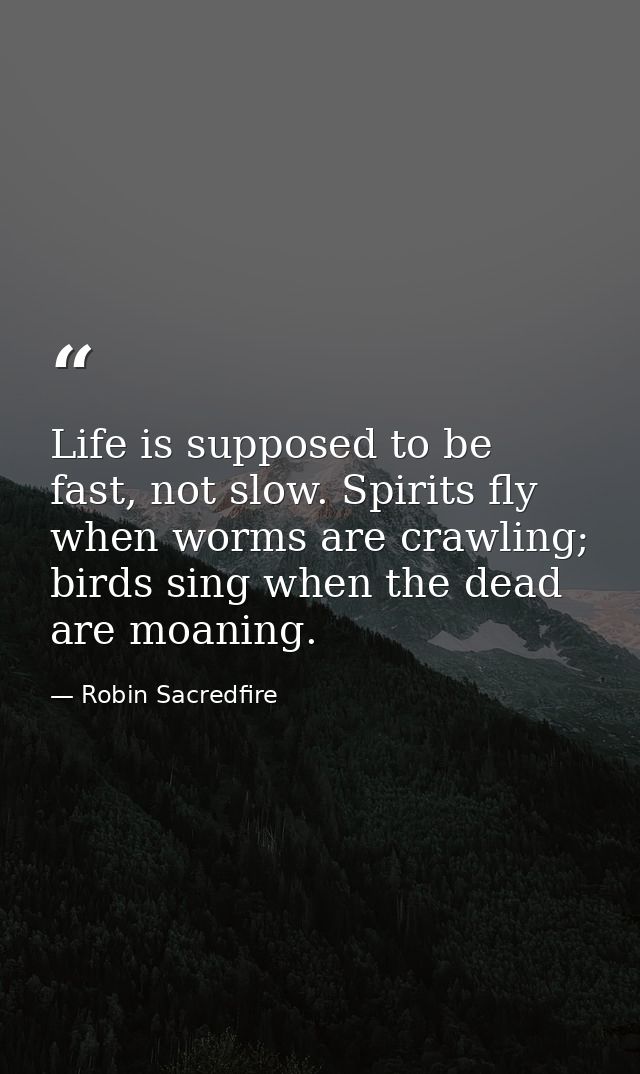 Life is supposed to be fast, not slow. Spirits fly when worms are crawling; birds sing when the dead are moaning. — Robin Sacredfire