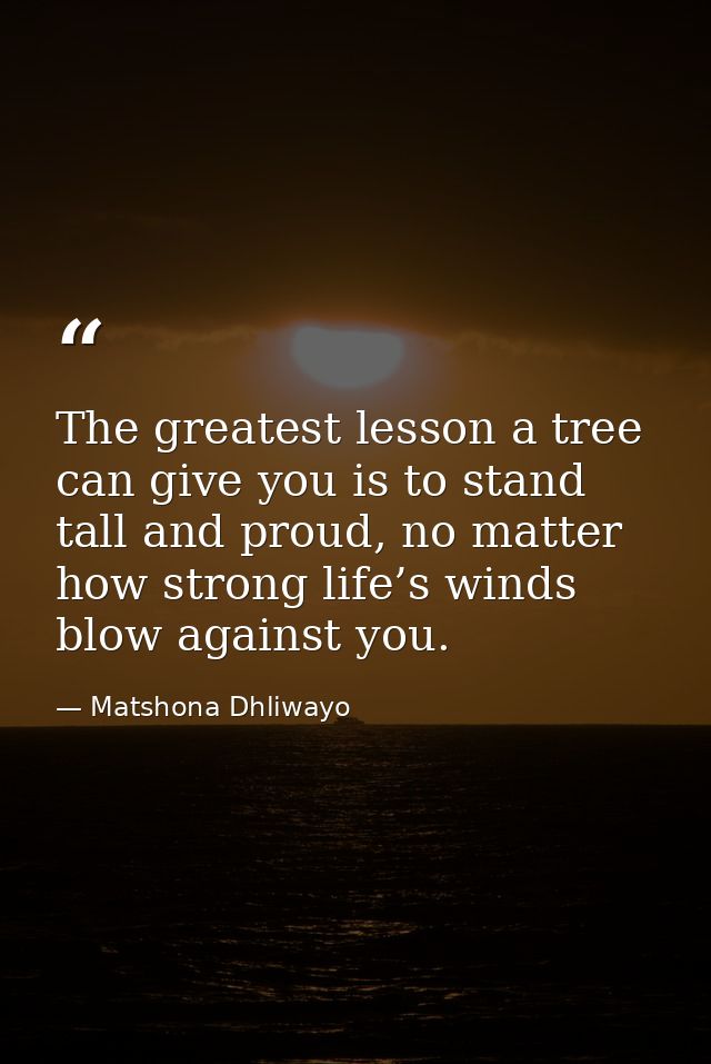 The greatest lesson a tree can give you is to stand tall and proud, no matter how strong life’s winds blow against you. — Matshona Dhliwayo
