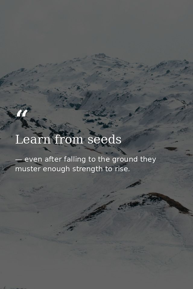 Learn from seeds — even after falling to the ground they muster enough strength to rise.