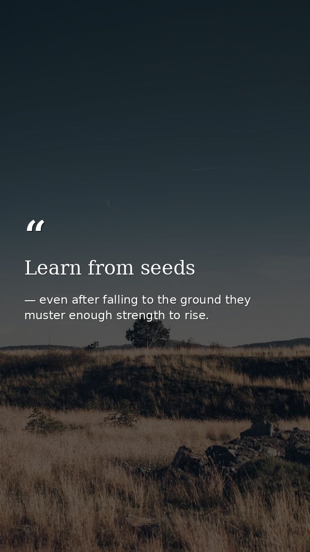 Learn from seeds — even after falling to the ground they muster enough strength to rise.
