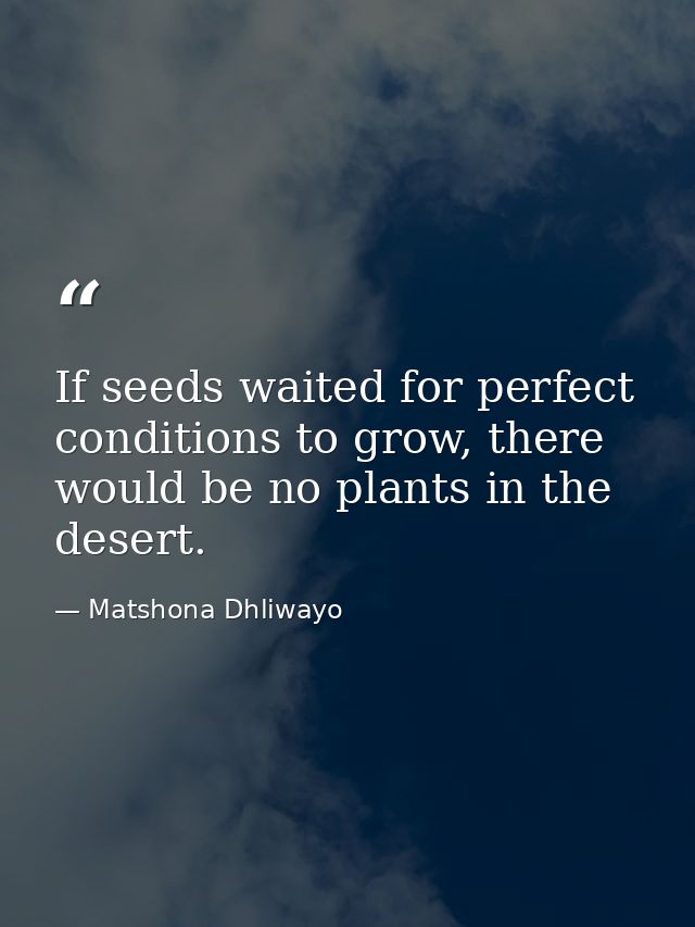 If seeds waited for perfect conditions to grow, there would be no plants in the desert. — Matshona Dhliwayo