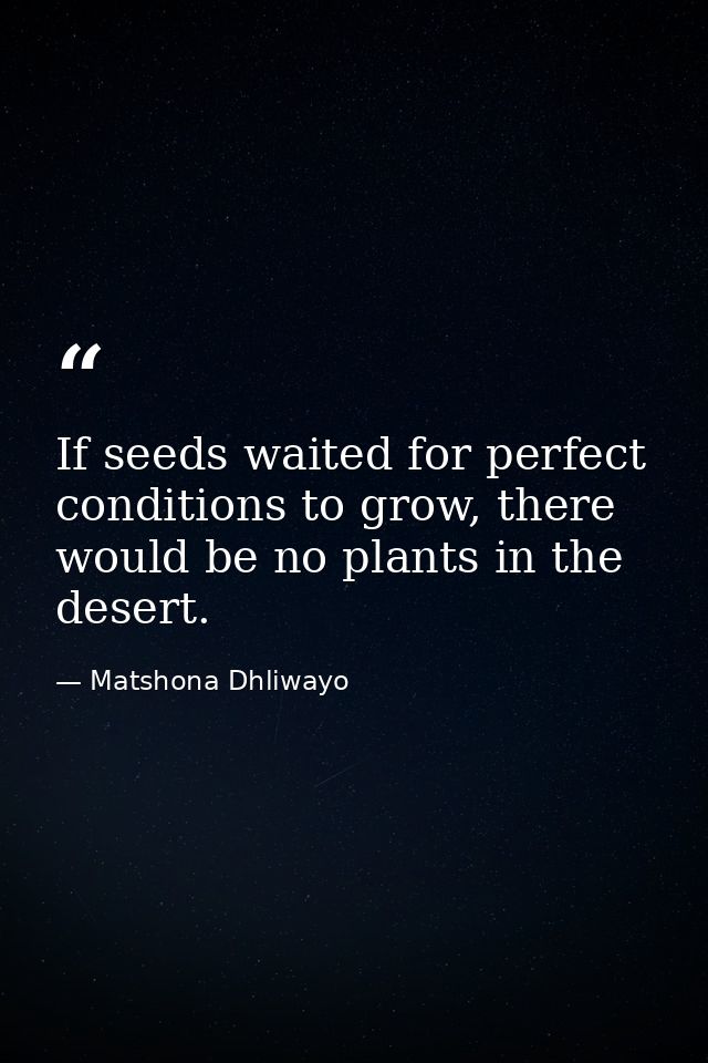 If seeds waited for perfect conditions to grow, there would be no plants in the desert. — Matshona Dhliwayo