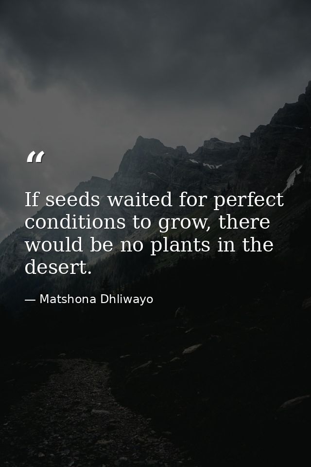 If seeds waited for perfect conditions to grow, there would be no plants in the desert. — Matshona Dhliwayo