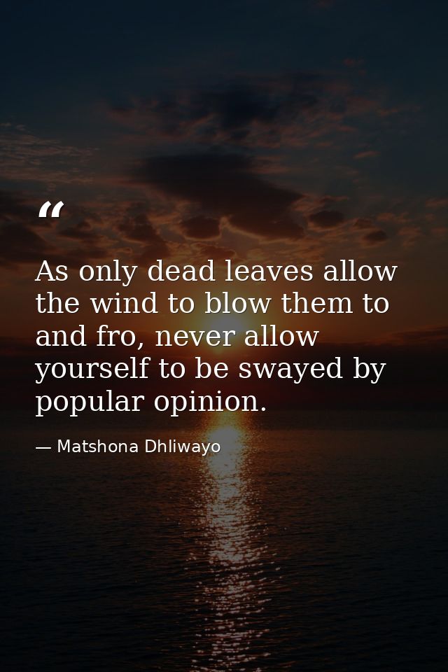As only dead leaves allow the wind to blow them to and fro, never allow yourself to be swayed by popular opinion. — Matshona Dhliwayo