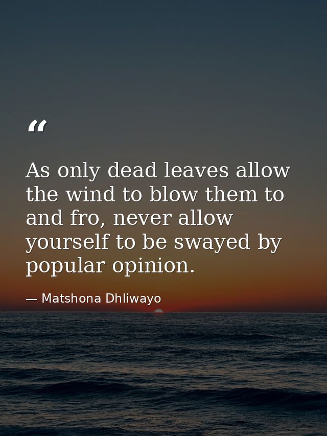 As only dead leaves allow the wind to blow them to and fro, never allow yourself to be swayed by popular opinion. — Matshona Dhliwayo