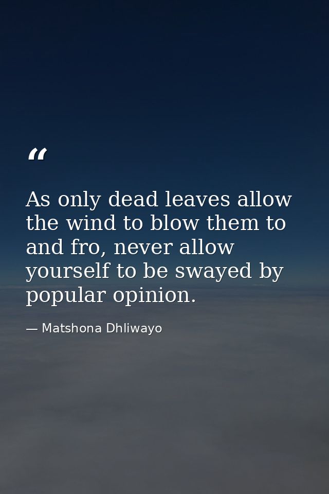 As only dead leaves allow the wind to blow them to and fro, never allow yourself to be swayed by popular opinion. — Matshona Dhliwayo