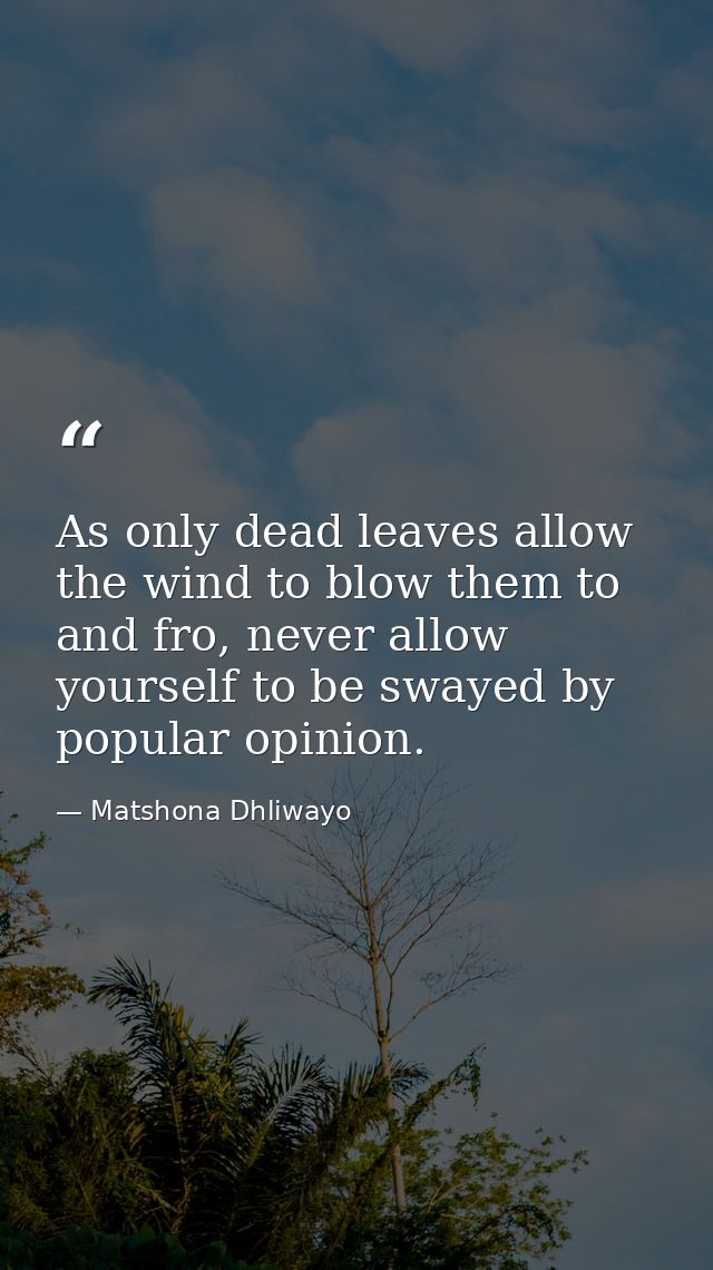As only dead leaves allow the wind to blow them to and fro, never allow yourself to be swayed by popular opinion. — Matshona Dhliwayo