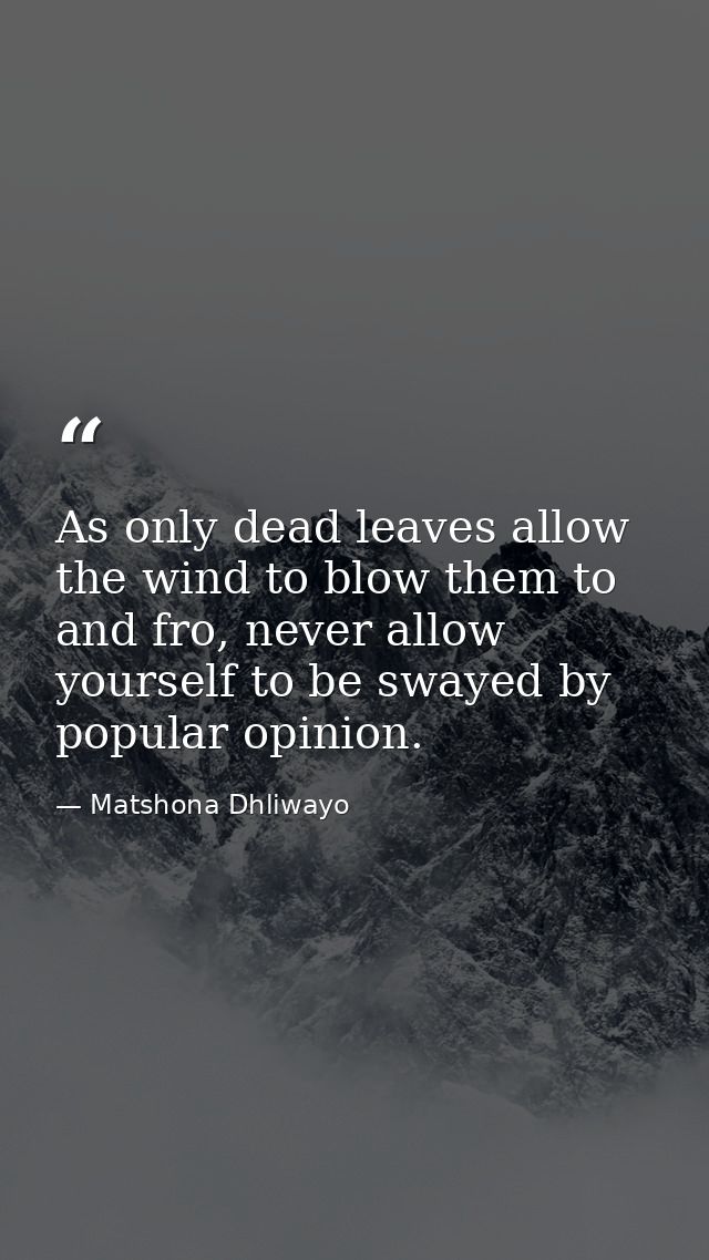 As only dead leaves allow the wind to blow them to and fro, never allow yourself to be swayed by popular opinion. — Matshona Dhliwayo