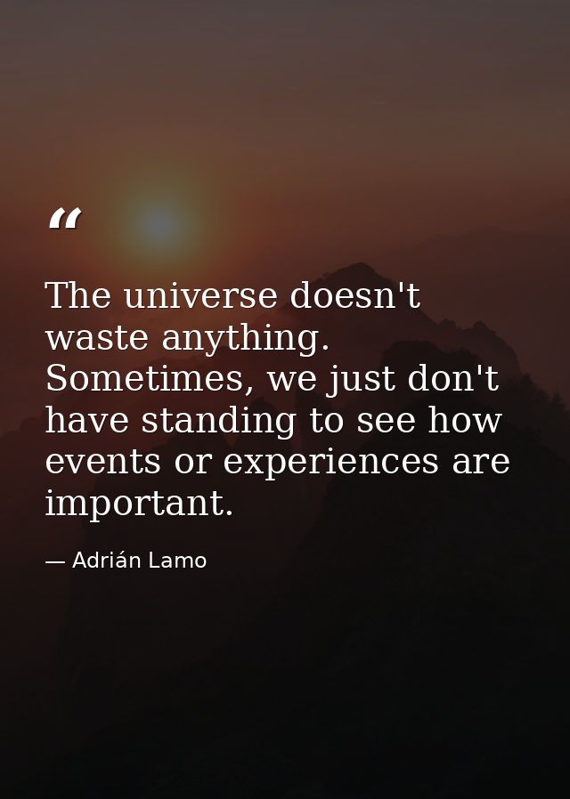 The universe doesn't waste anything. Sometimes, we just don't have standing to see how events or experiences are importa — Adrián Lamo
