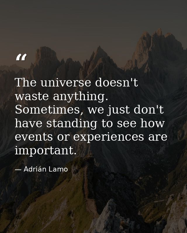 The universe doesn't waste anything. Sometimes, we just don't have standing to see how events or experiences are importa — Adrián Lamo