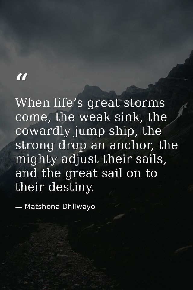 When life’s great storms come, the weak sink, the cowardly jump ship, the strong drop an anchor, the mighty adjust their — Matshona Dhliwayo