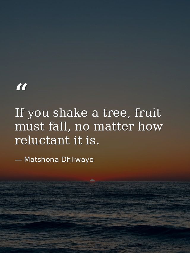 If you shake a tree, fruit must fall, no matter how reluctant it is. — Matshona Dhliwayo