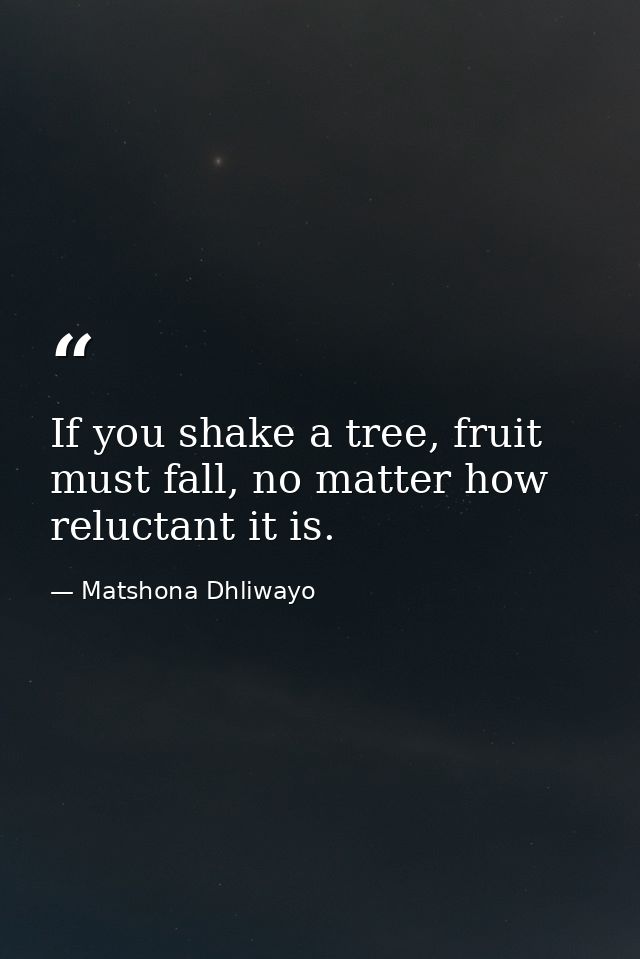 If you shake a tree, fruit must fall, no matter how reluctant it is. — Matshona Dhliwayo