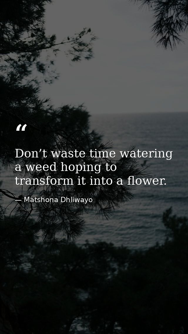 Don’t waste time watering a weed hoping to transform it into a flower. — Matshona Dhliwayo