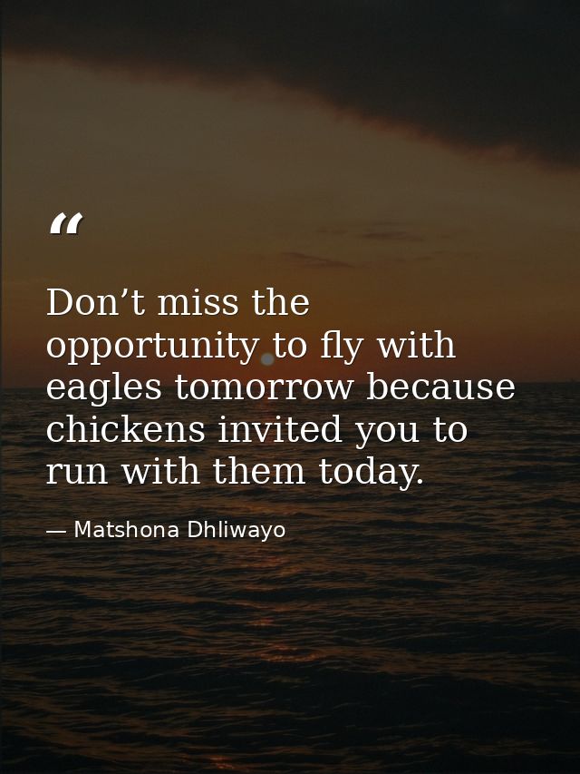 Don’t miss the opportunity to fly with eagles tomorrow because chickens invited you to run with them today. — Matshona Dhliwayo