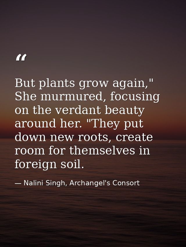 But plants grow again," She murmured, focusing on the verdant beauty around her. "They put down new roots, create room f — Nalini Singh, Archangel's Consort