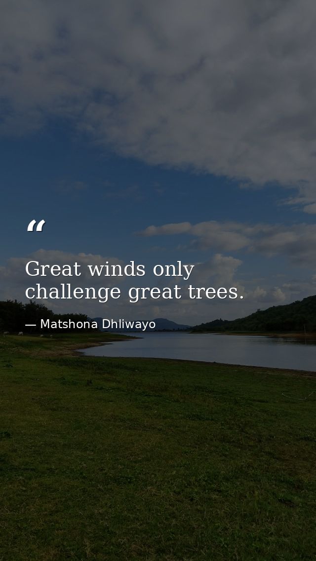 Great winds only challenge great trees. — Matshona Dhliwayo