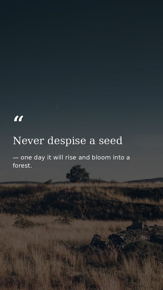 Never despise a seed — one day it will rise and bloom into a forest.
