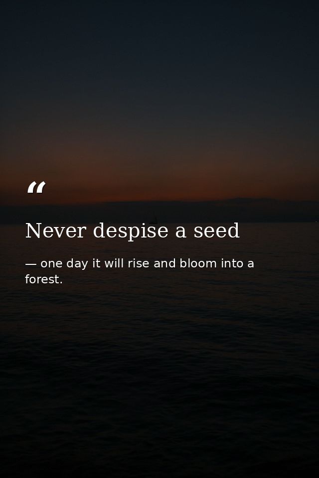 Never despise a seed — one day it will rise and bloom into a forest.