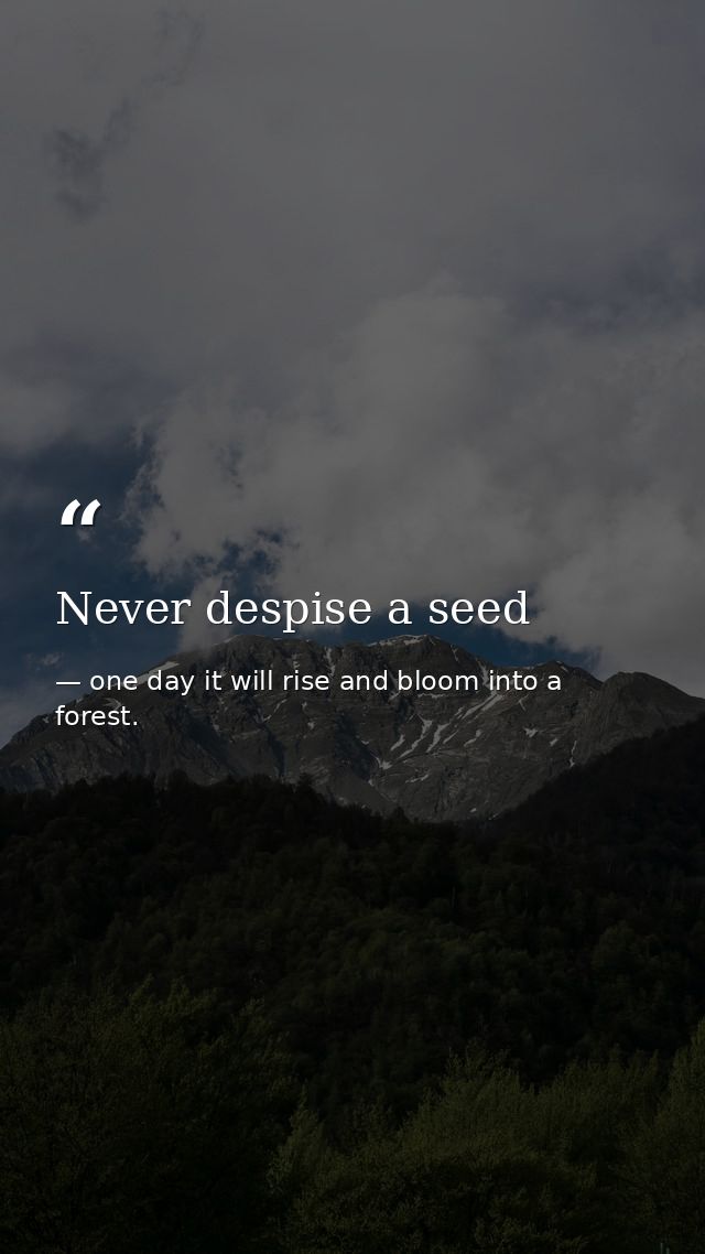 Never despise a seed — one day it will rise and bloom into a forest.