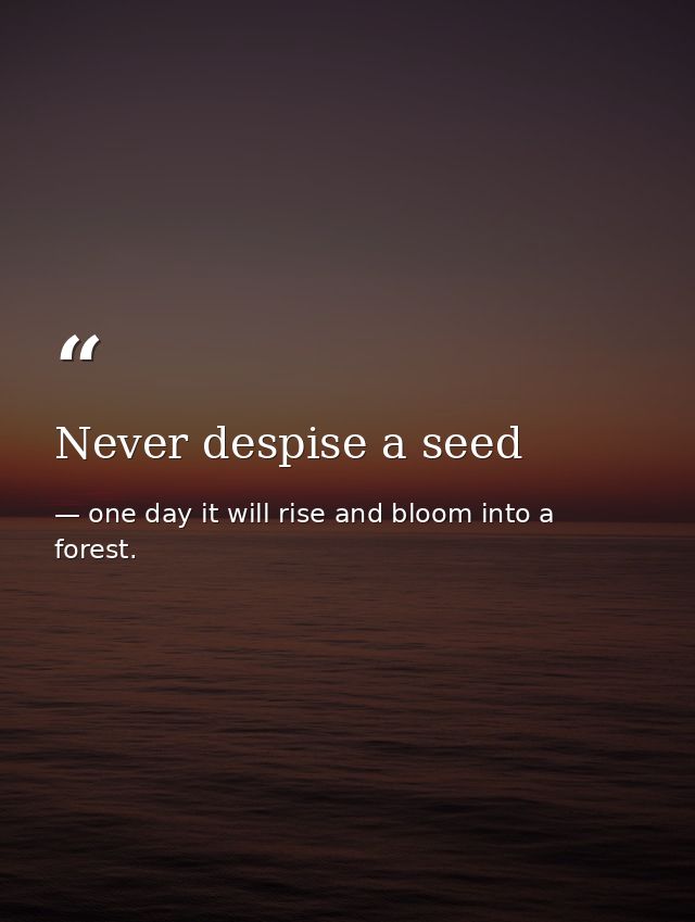 Never despise a seed — one day it will rise and bloom into a forest.