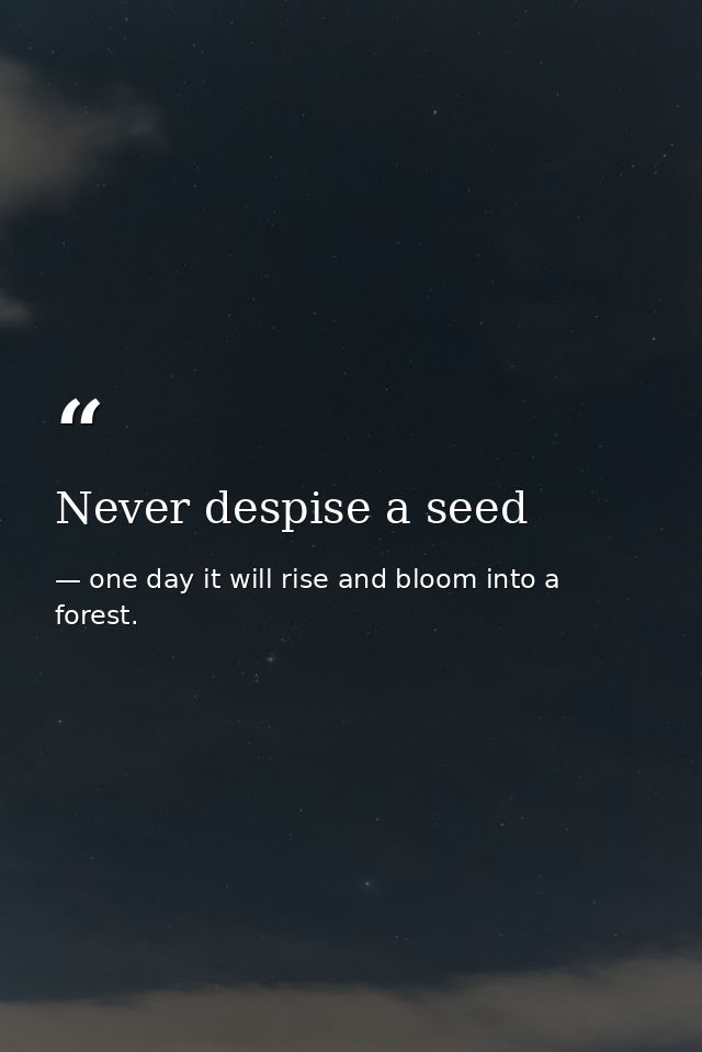 Never despise a seed — one day it will rise and bloom into a forest.