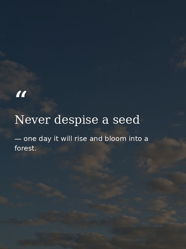 Never despise a seed — one day it will rise and bloom into a forest.