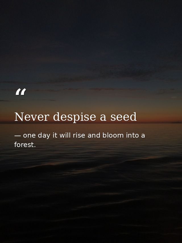 Never despise a seed — one day it will rise and bloom into a forest.