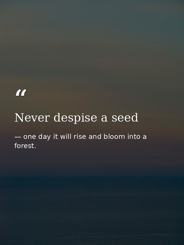 Never despise a seed — one day it will rise and bloom into a forest.
