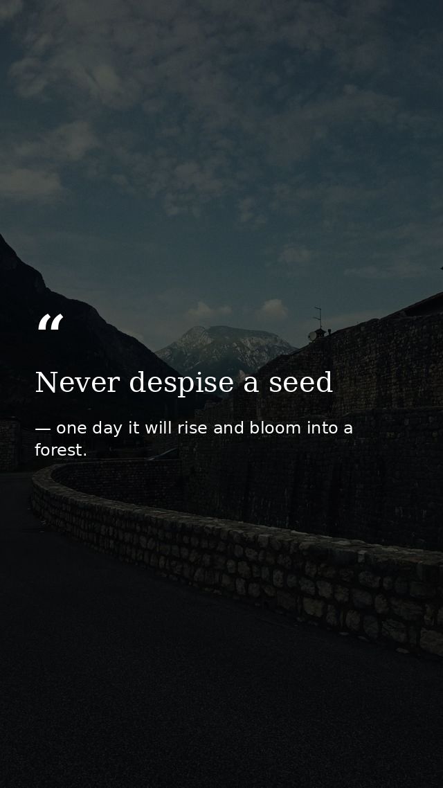 Never despise a seed — one day it will rise and bloom into a forest.