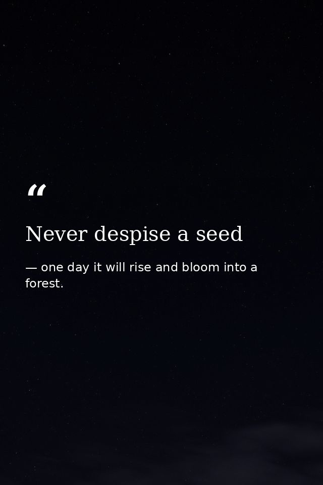 Never despise a seed — one day it will rise and bloom into a forest.