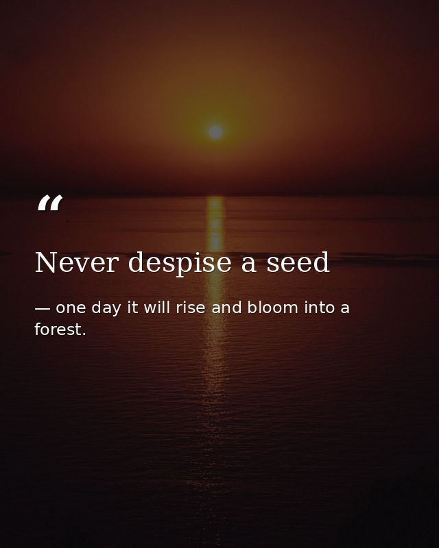 Never despise a seed — one day it will rise and bloom into a forest.