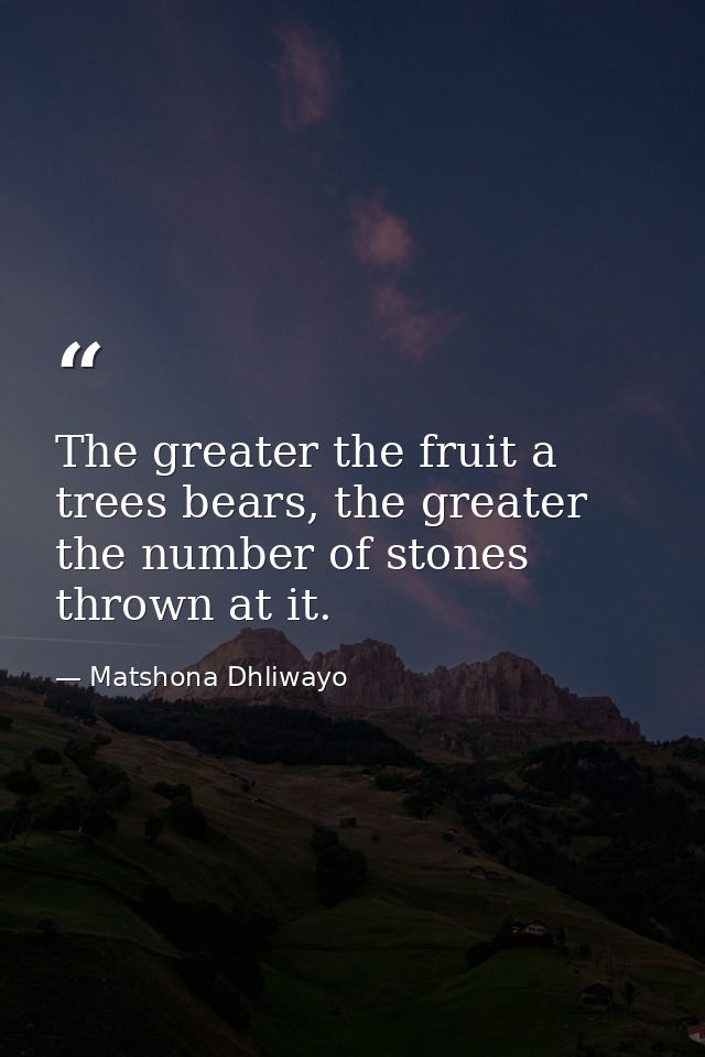 The greater the fruit a trees bears, the greater the number of stones thrown at it. — Matshona Dhliwayo