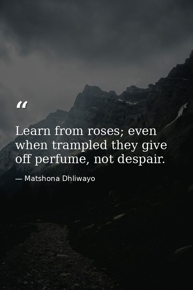 Learn from roses; even when trampled they give off perfume, not despair. — Matshona Dhliwayo