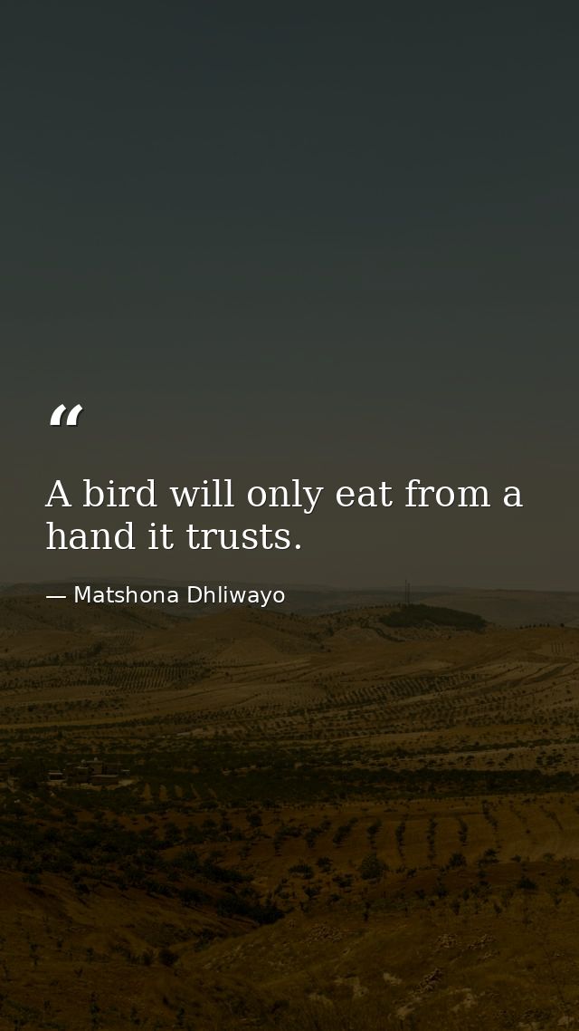 A bird will only eat from a hand it trusts. — Matshona Dhliwayo
