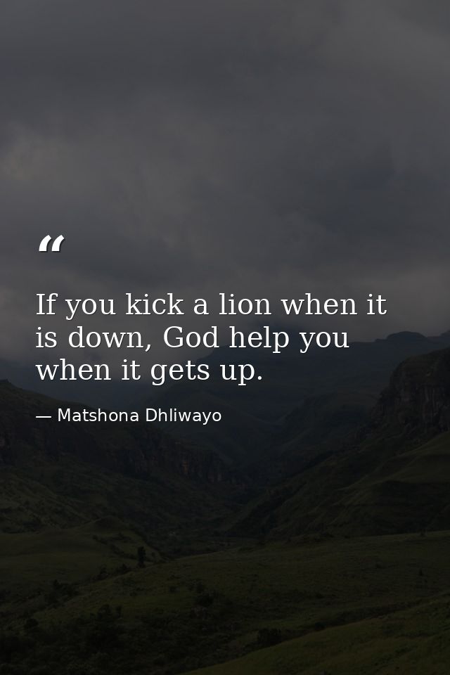 If you kick a lion when it is down, God help you when it gets up. — Matshona Dhliwayo