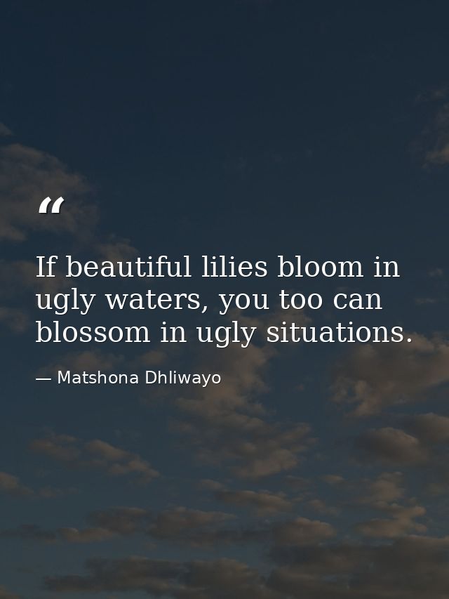 If beautiful lilies bloom in ugly waters, you too can blossom in ugly situations. — Matshona Dhliwayo